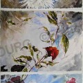 gros-dahlias-aquarelle-Francoise-Dubourg
