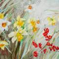 jonquille-narcisse-Pommier-du-Japon-aquarelle-Francoise-Dubourg