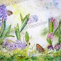 jacinthe-papillon-aquarelle-Francoise-Dubourg