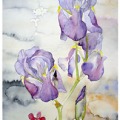 bien-avant-nous-aquarelle-Francoise-Dubourg