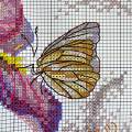 bien-avant-nous-detail-1-iris