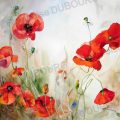 cycle-coquelicot-aquarelle-Francoise-Dubourg