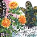 cactus-pompons-Francoise Dubourg