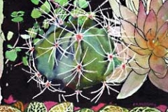 cactus-nuit-Francoise Dubourg