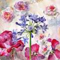 agapanthe-aquarelle-Francoise-Dubourg