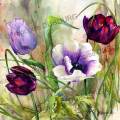 anemone-et-tulipes-aquarelle-Francoise-Dubourg