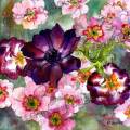 anemone-primeveres-aquarelle-Francoise-Dubourg