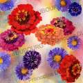 jachere-fleurie-aquarelle-Francoise-Dubourg