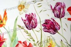 les-tulipes-encre-de-Chine-couleur-Francoise-Dubourg