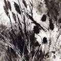 Herbes-seches-Francoise-Dubourg