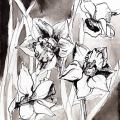 jonquilles-Francoise-Dubourg
