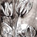 Tulipes-coucous-Francoise-Dubourg