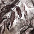 feuille-lobee-Françoise-Dubourg-Encre de Chine