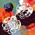 Rose-Fluctuation-version2-illustration-numérique-Francoise-Dubourg