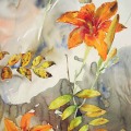 hemerocalle-automne-aquarelle-Francoise-Dubourg