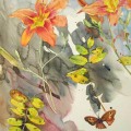 hemerocalle-automne-aquarelle-Francoise-Dubourg