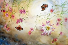 papillon-voltige-aquarelle-Francoise-Dubourg