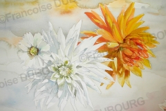 dahlias-aquarelle-Francoise-Dubourg