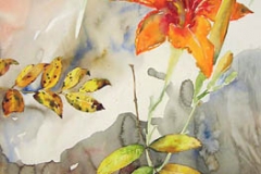 hemerocalle-automne-aquarelle-Francoise-Dubourg