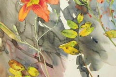 hemerocalle-automne-aquarelle-Francoise-Dubourg