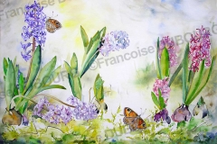 jacinthe-papillon-aquarelle-Francoise-Dubourg