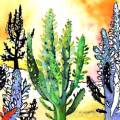 cactus-desert-Francoise Dubourg