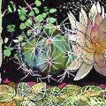 cactus-nuit-Francoise Dubourg