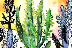 cactus-desert-Francoise Dubourg