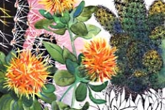 cactus-pompons-Francoise Dubourg