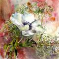 anemone-blanche-aquarelle-Francoise-Dubourg