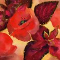 coquelicot-bouquet-feuille-aquarelle-Francoise-Dubourg