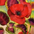 coquelicot-feuilles-cœur-aquarelle-Francoise-Dubourg