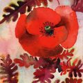 coquelicot-feuilles-dentellees-aquarelle-Francoise-Dubourg