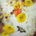 Papillon-survol-aquarelle-Francoise-Dubourg