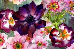 anemone-primeveres-aquarelle-Francoise-Dubourg