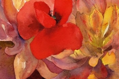 coquelicot-dahlias-mouchetes-aquarelle-Francoise-Dubourg