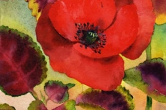 coquelicot-feuilles-cœur-aquarelle-Francoise-Dubourg