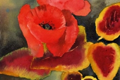 coquelicot-feuilles-flottent-aquarelle-Francoise-Dubourg