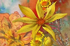 fleurs-jaunes-dahlia-mouchete-aquarelle-Francoise-Dubourg