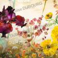 Iris-violets-euphorbe-encre-de-Chine-couleur-Francoise-Dubourg