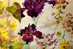 Iris-violets-euphorbe-encre-de-Chine-couleur-Francoise-Dubourg