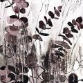 Eucalyptus-Francoise-Dubourg