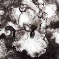 iris-Francoise-Dubourg