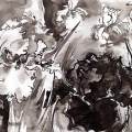 iris-Francoise-Dubourg