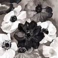 anemones-fouillis-Françoise-Dubourg-Encre de Chine
