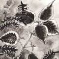 comme-la-tendresse-Françoise-Dubourg-Encre de Chine