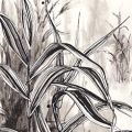 comme_une_reverence-Françoise-Dubourg-Encre de Chine