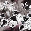 cyclamens-Françoise-Dubourg-Encre de Chine