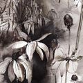 reveil-Françoise-Dubourg-Encre de Chine