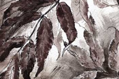 feuille-lobee-Françoise-Dubourg-Encre de Chine